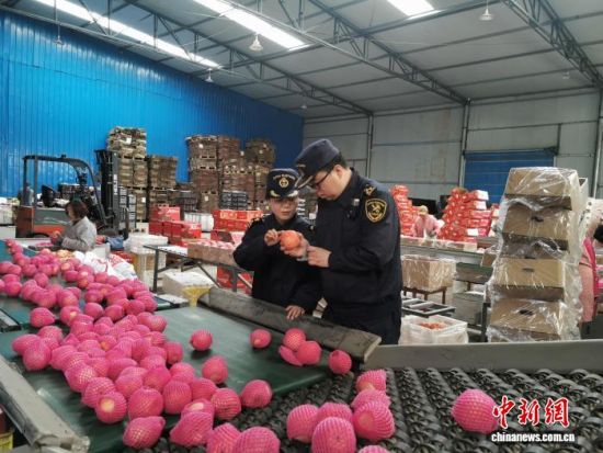 2025��12����Ѯ�����ݺ�������ƽ�����ع�Ա�Գ���ƻ����չ�ֳ����顣���� ��