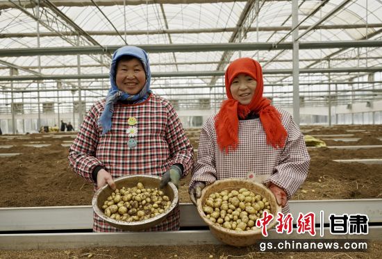 μԴ��������ԭԭ��ӭ������(����ƽ ��)