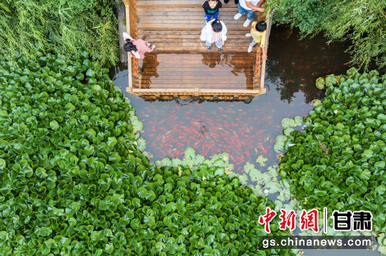位于临夏州的太子山天池吸引游客前来。(资料图)汤文健 摄 位于临夏州的太子山天池吸引游客前来。(资料图)汤文健 摄