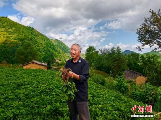 图为符烜在育苗基地。武都区委宣传部供图 图为符烜在育苗基地。武都区委宣传部供图