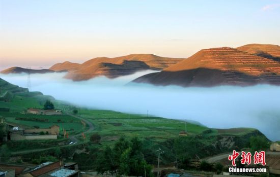 甘肃出台意见 今年基本完成党政机关公车制度