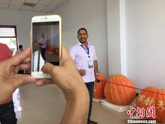 共赴山海之约 悦享秋日盛宴！第七届“BETHASH秋韵崂山”文旅休闲季暨崂山区首届乡村咖啡节即将启幕