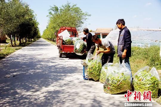甘肃庆阳农村公路 破土而出 告别 泥水路 -甘肃