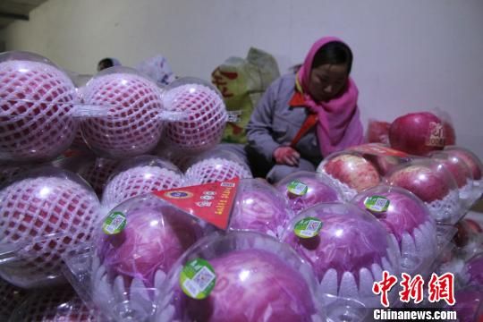 甘肃庆阳西峰以果扶贫 让农村经济活起来-