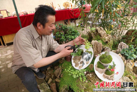 甘肃盆景达人变废为宝 制作创意瓷器盆景-甘