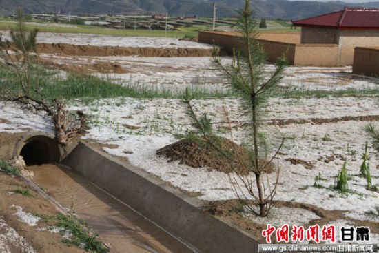 甘肃环县5乡镇遭遇冰雹天气 经济损失达千万元