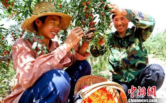 庆阳正宁县建设无公害种养基地创建特色农业品