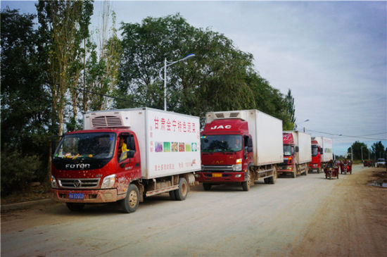 甘肃会宁县白草塬镇第二批30余吨高原夏菜起