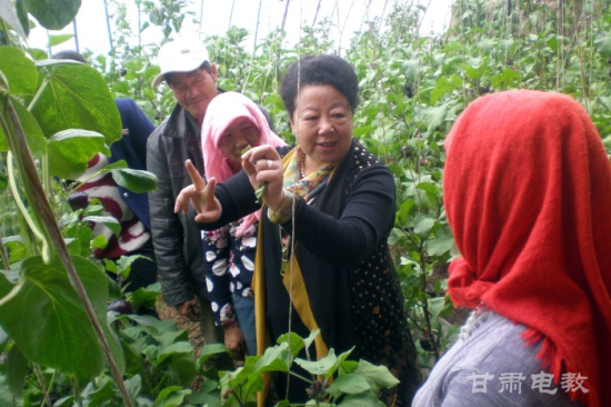 张掖临泽入围国家级农村职教和成人教育示范创