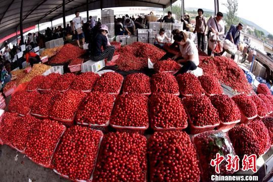 甘肃国税落实《全国税务系统督察审计规范(1.