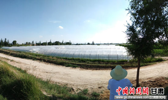 白银会宁县白草塬镇党建引领谋发展 产业助推