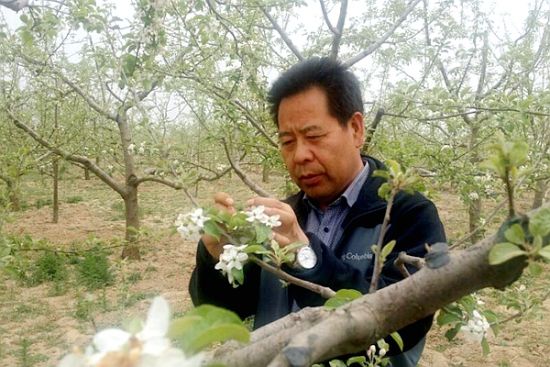 甘肃农大专家赴果树主产区开展冻害调研与指导