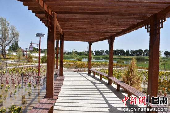 甘肃瓜州"守田园"振兴乡村 沿河建"生态长廊"促旅游