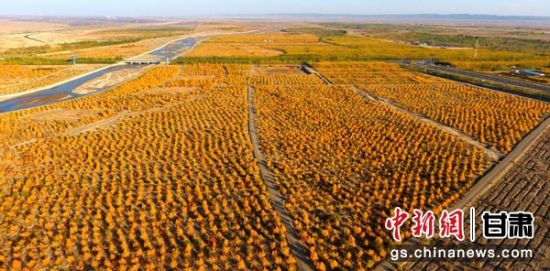 瓜州县西湖有多少人口_瓜州县西湖镇北沟村(3)