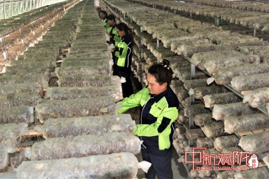 静宁县威戎镇人口数量_静宁县威戎中学图片