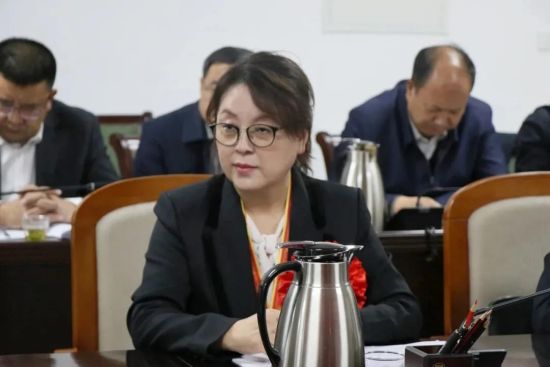 全国脱贫攻坚先进个人,甘肃远达投资集团有限公司董事长刘羽桐发言.