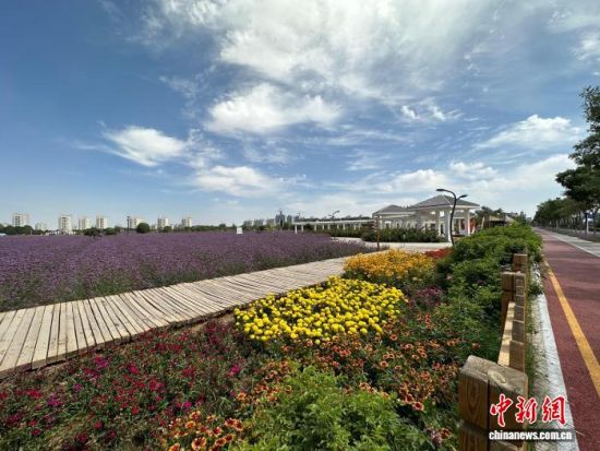 8����Ѯ������ʡ������Ͻ𻨺���ɫ��(����ͼ)���� ��