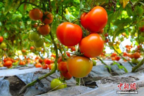 ͼΪ����������������͸ů������� ��