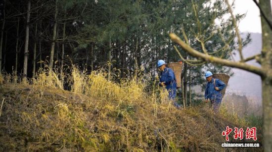 ͼΪ�θպ�ͽ�ܱ��ű�¨���塣������ ��