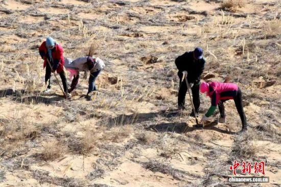 3�³�������ʡ�����������ز������ķ�����̬�ֻ��أ�����������ץ�������飬������չ��ɳ���ֹ����������� ��