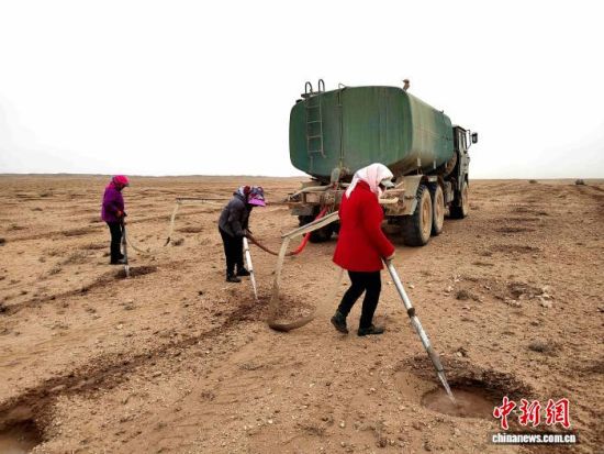 �����ֳ�������Ϊ��������ˮ���ʡ������� ��