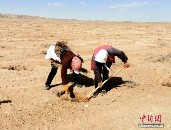 ��������������ɳ��ɳ��Ŀ������ѹɳ�����ֳ��������� ��