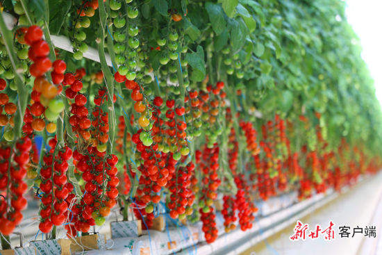 ���ǻ�ũҵ�����ļӳ��£������ڵĴ����ѳ���ϲ�ˡ�˶�����ڡ�