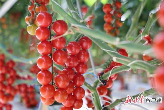 �ǻ�ũҵ��˶����С�����˶�������˴��ҵ��