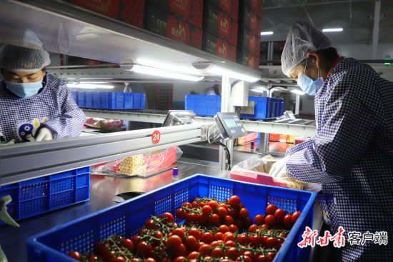 �ּ𡢴����