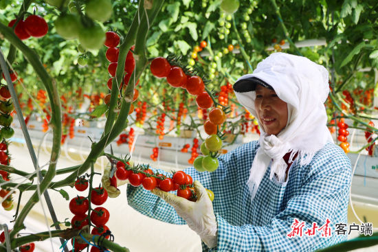 �ϸ��ձ�׼ÿ�ܲ���һ�Ρ�