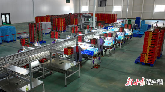 �������æµ���������ŷ��յ�ϣ�������ؿ����ܱߴ��������֮·��