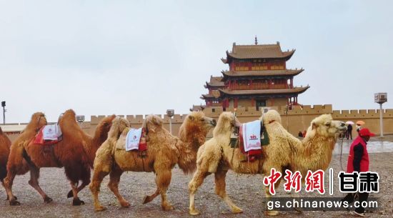 ͼΪ��ֳ��������Ұ�ȫ���������ӡ��״����ࡣ���������Ұ�ȫ�����С���ʶ������������У����Ұ�ȫ��������ǧ��˿·����������