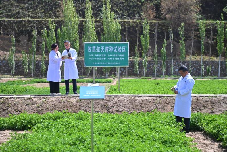 甘肃省兰州市,中国农业科学院兰州畜牧与兽药研究所牧草航天育种试验