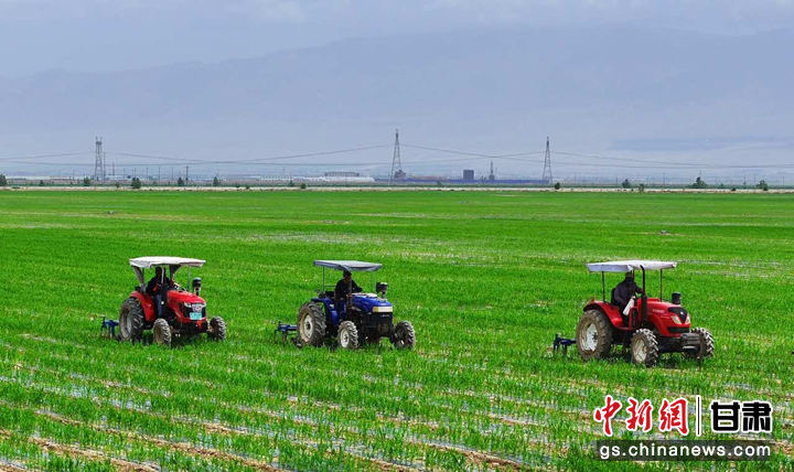 张掖民乐中耕作业保丰收